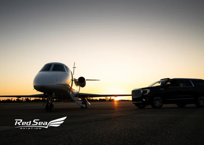 Untitled design - 2026-01-21T180244.891